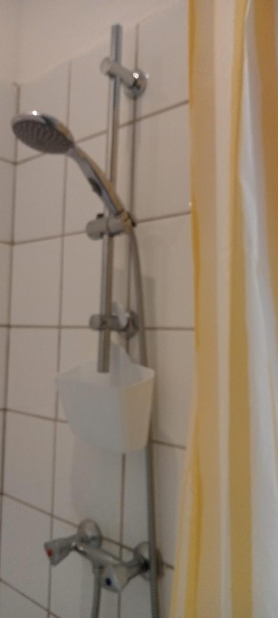 L'oiseau Rieur Darbres